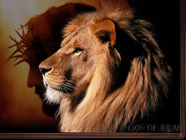 Lion of Judah Intercessory Prayer